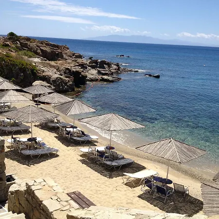 Palm Tree Mykonos 別荘 *